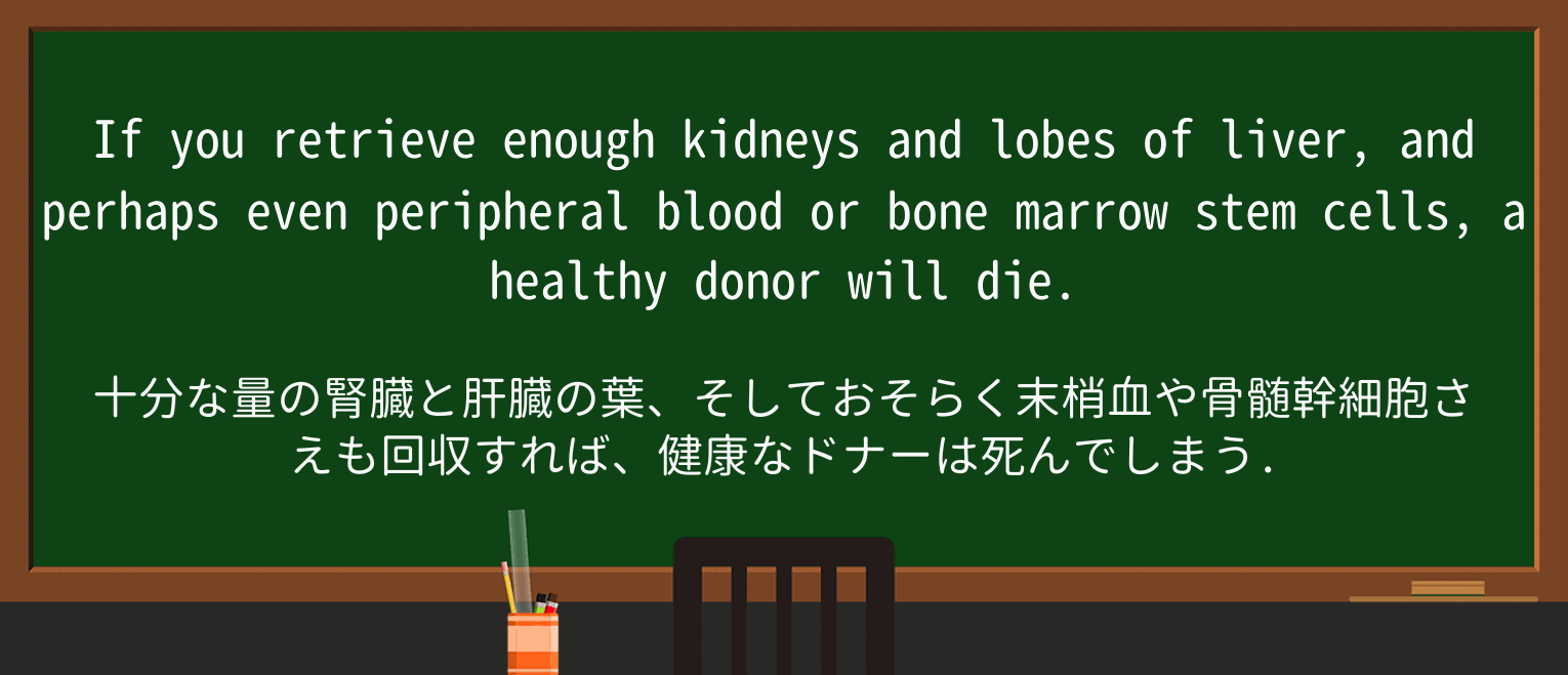 【英単語】kidneyを徹底解説!意味、使い方、例文、読み方 ・例文1