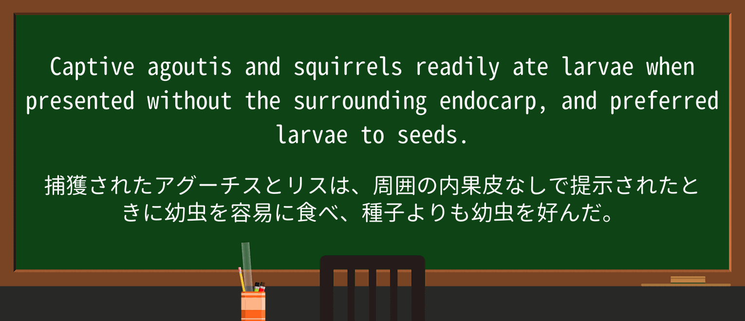 【英単語】larvaを徹底解説!意味、使い方、例文、読み方 ・例文2