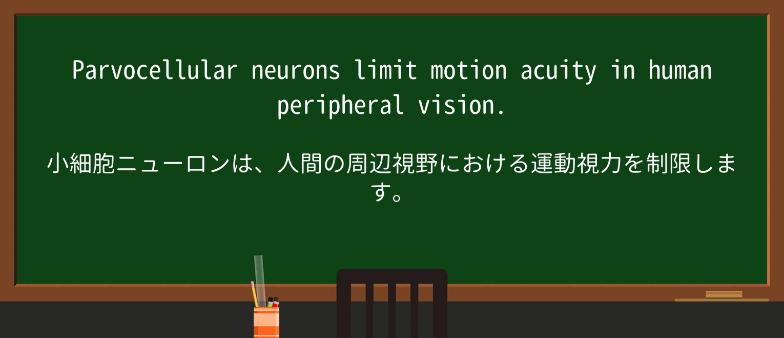 【英単語】limitを徹底解説!意味、使い方、例文、読み方 ・例文2