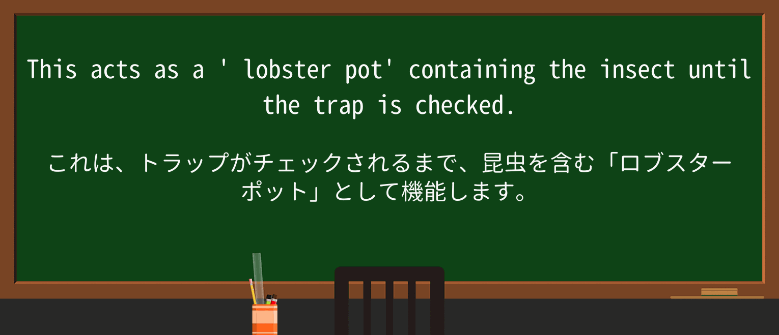 【英単語】lobsterを徹底解説!意味、使い方、例文、読み方 ・例文2