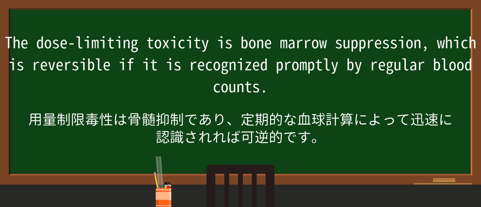 【英単語】marrowを徹底解説!意味、使い方、例文、読み方 ・例文2