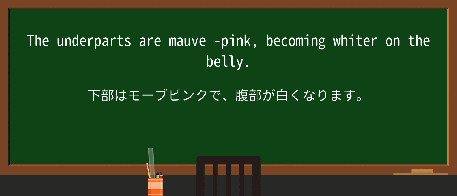 【英単語】mauveを徹底解説!意味、使い方、例文、読み方 ・例文2