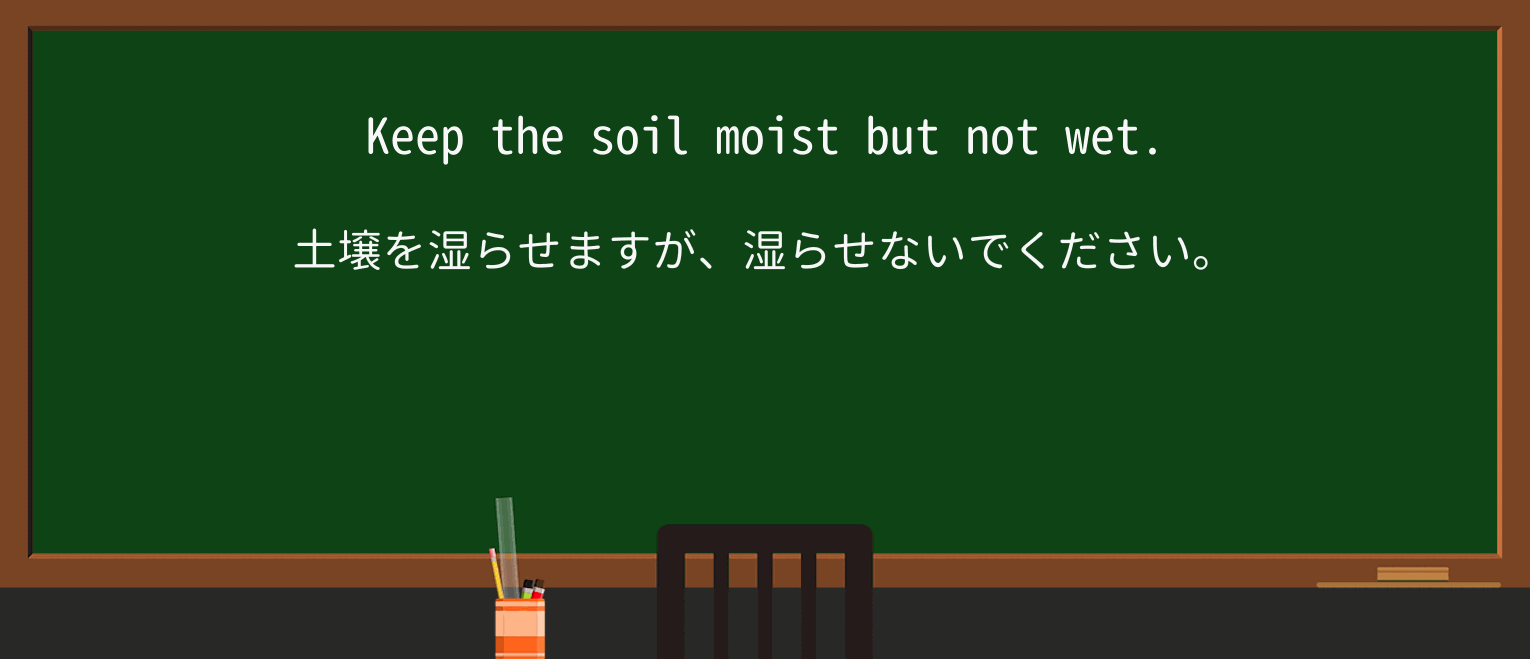 【英単語】moistを徹底解説!意味、使い方、例文、読み方 ・例文1