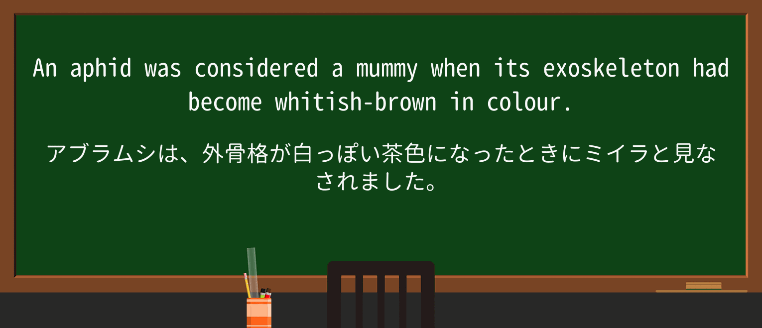 【英単語】mummyを徹底解説!意味、使い方、例文、読み方 ・例文3
