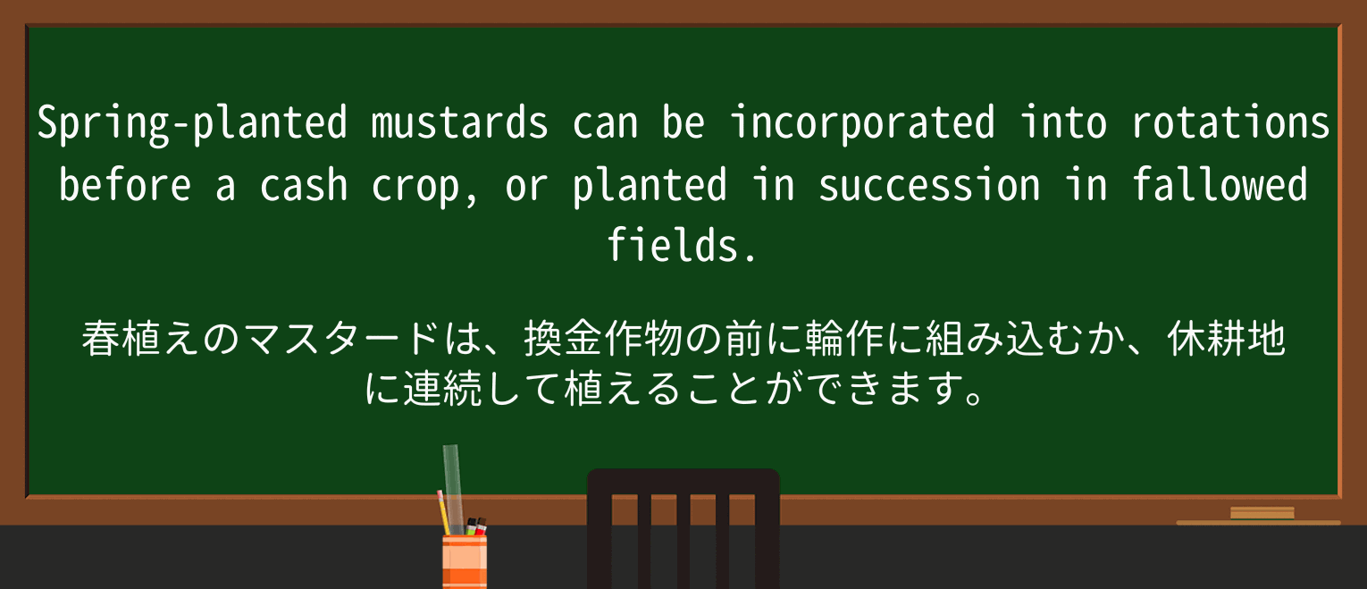 【英単語】mustardを徹底解説!意味、使い方、例文、読み方 ・例文2