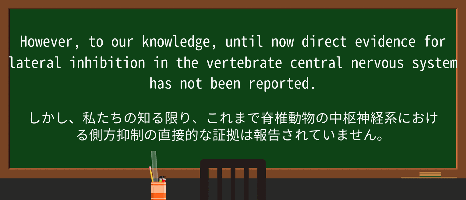【英単語】nervousを徹底解説!意味、使い方、例文、読み方 ・例文3