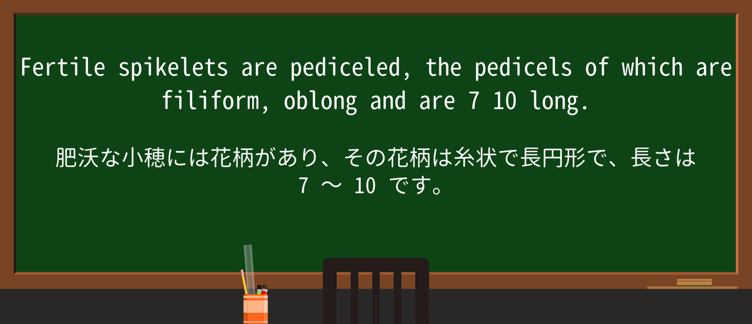 【英単語】oblongを徹底解説!意味、使い方、例文、読み方 ・例文1