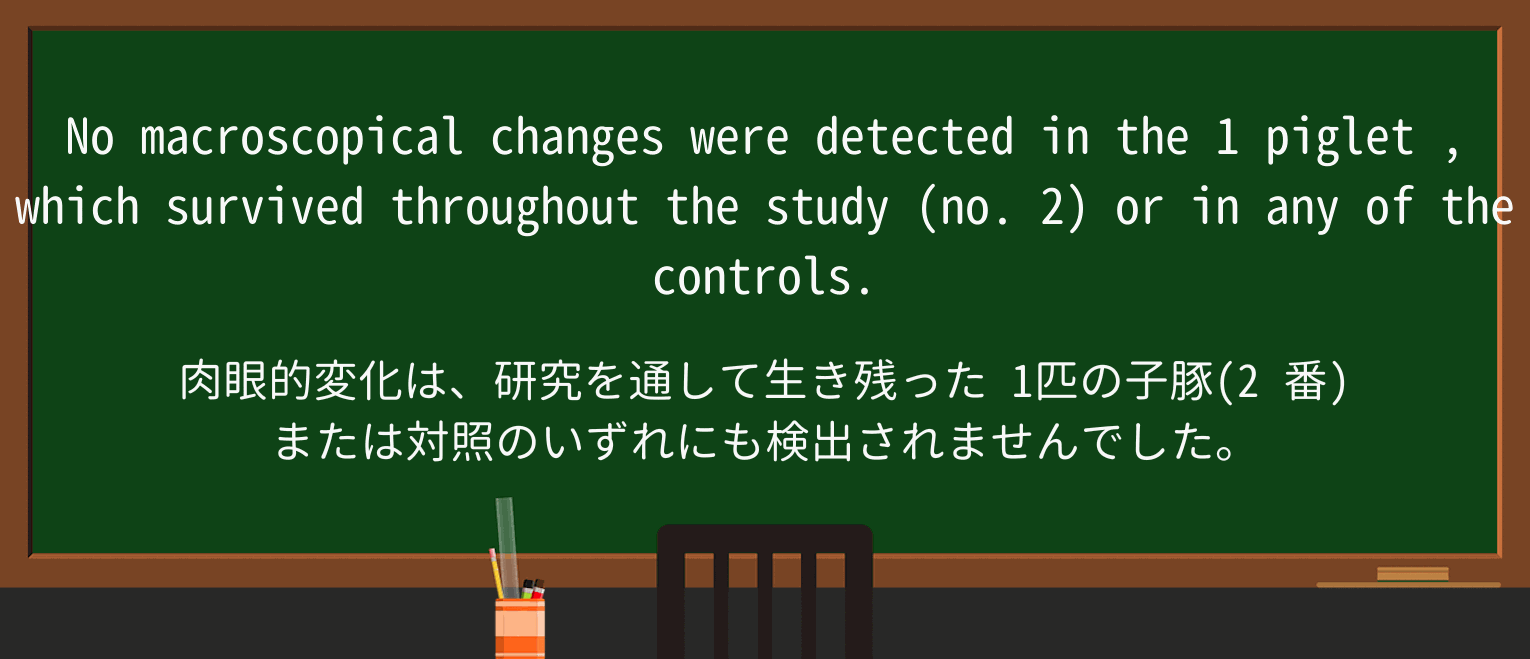 【英単語】pigletを徹底解説!意味、使い方、例文、読み方 ・例文1