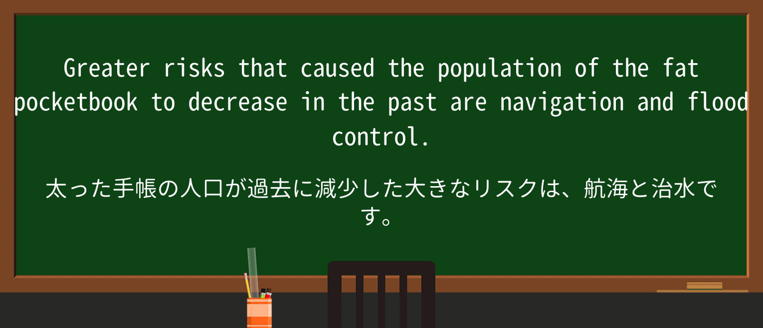 【英単語】pocketbookを徹底解説!意味、使い方、例文、読み方 ・例文2