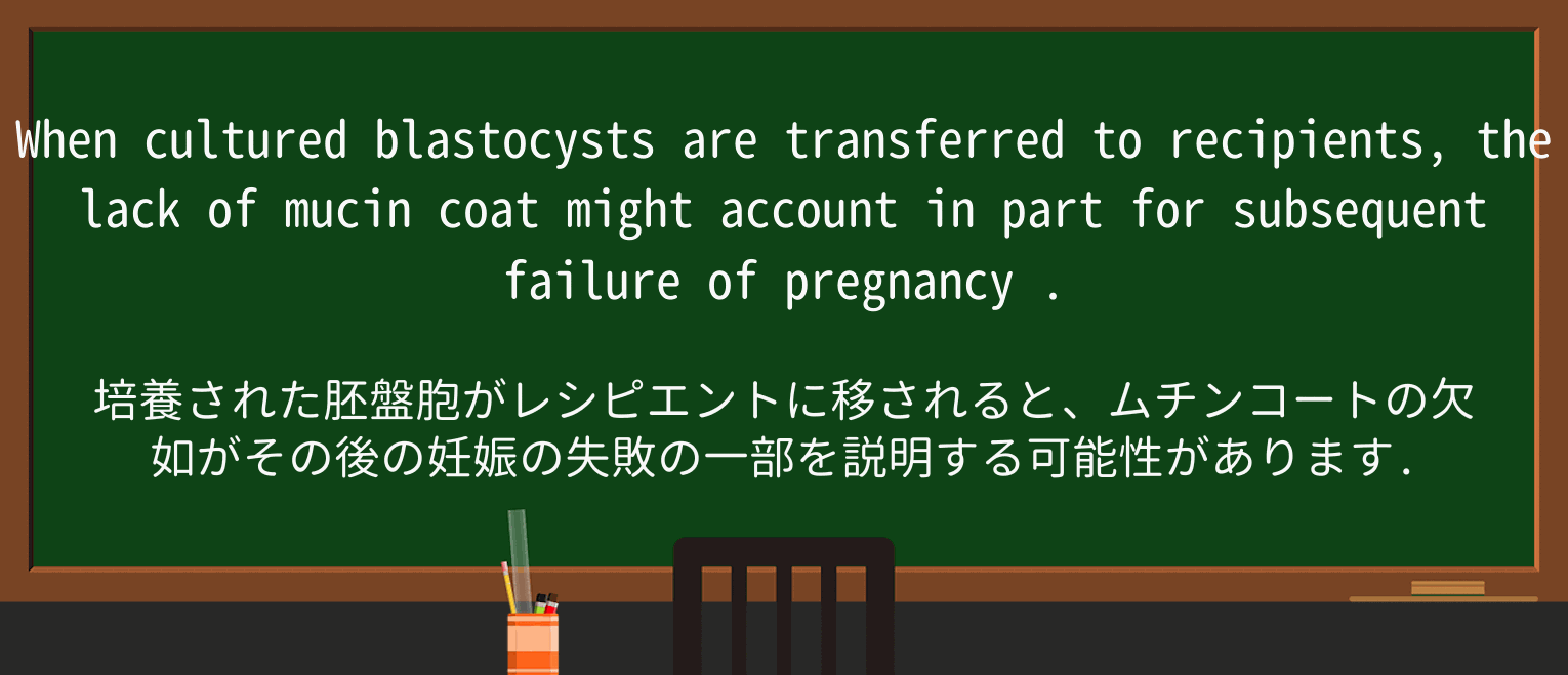 【英単語】pregnancyを徹底解説!意味、使い方、例文、読み方 ・例文3