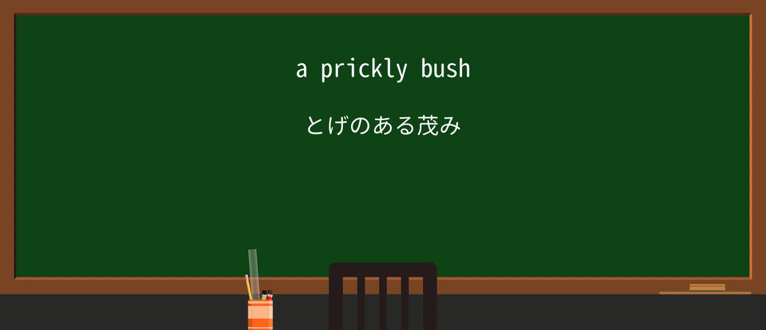 【英単語】pricklyを徹底解説!意味、使い方、例文、読み方 ・例文1