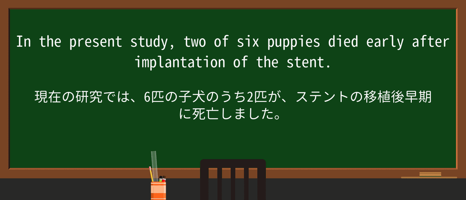 【英単語】puppyを徹底解説!意味、使い方、例文、読み方 ・例文1