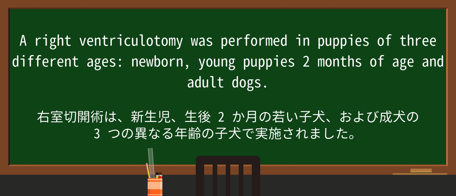 【英単語】puppyを徹底解説!意味、使い方、例文、読み方 ・例文2