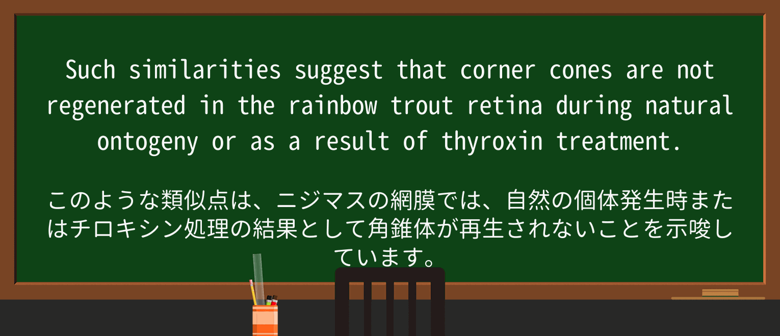 【英単語】rainbowを徹底解説!意味、使い方、例文、読み方 ・例文1