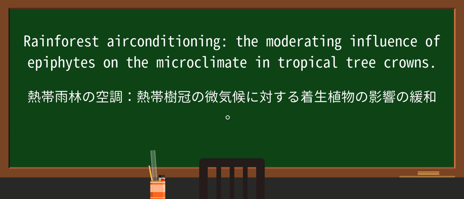 【英単語】rainforestを徹底解説!意味、使い方、例文、読み方 ・例文2