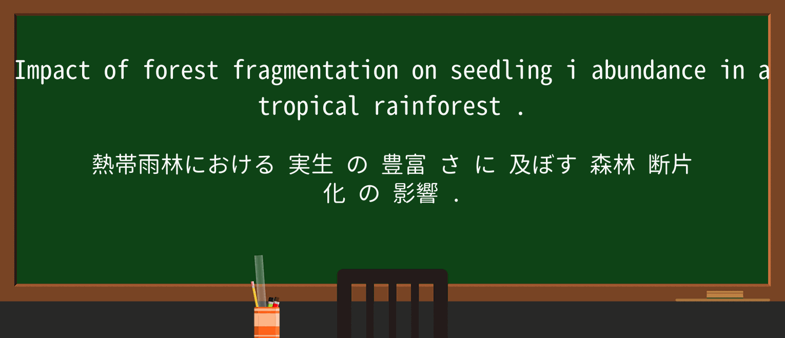 【英単語】rainforestを徹底解説!意味、使い方、例文、読み方 ・例文3