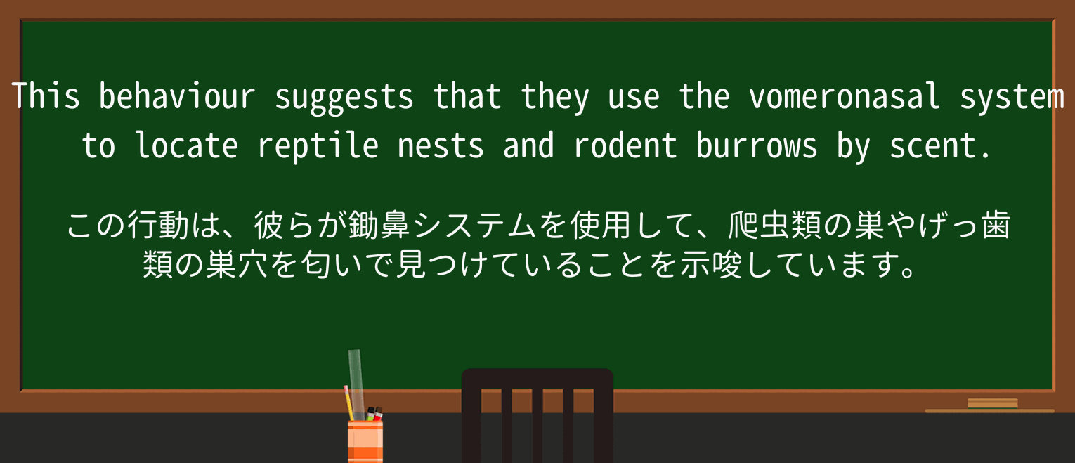【英単語】reptileを徹底解説!意味、使い方、例文、読み方 ・例文1