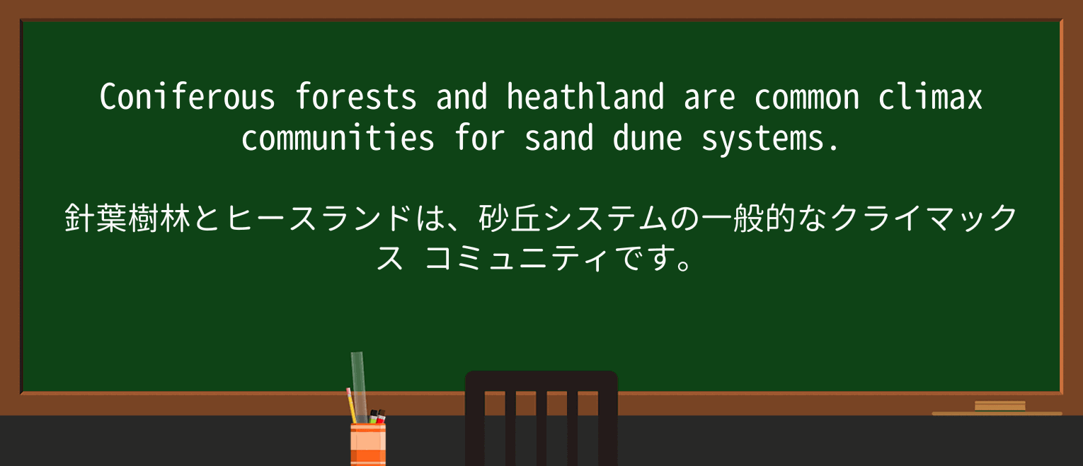 【英単語】sand-duneを徹底解説!意味、使い方、例文、読み方 ・例文1