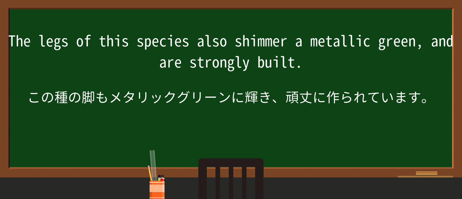 【英単語】shimmerを徹底解説!意味、使い方、例文、読み方 ・例文3