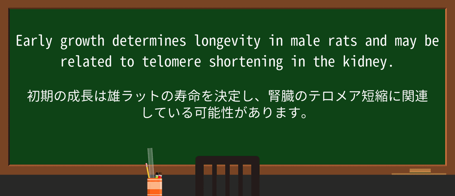 【英単語】shortenを徹底解説!意味、使い方、例文、読み方 ・例文2