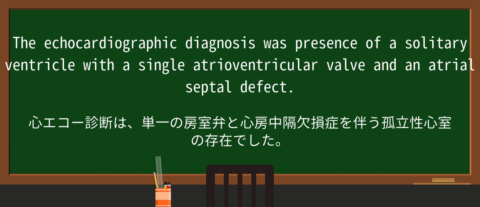 【英単語】solitaryを徹底解説!意味、使い方、例文、読み方 ・例文3