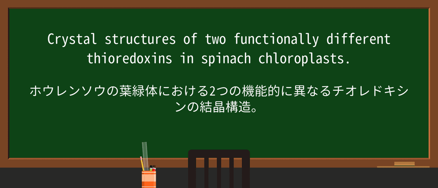 【英単語】spinachを徹底解説!意味、使い方、例文、読み方 ・例文2