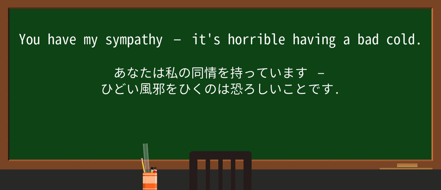 【英単語】sympathyを徹底解説!意味、使い方、例文、読み方 ・例文1