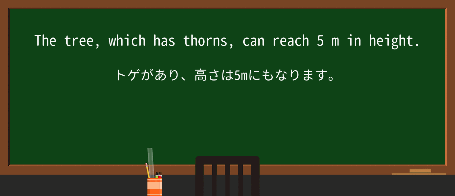 【英単語】thornを徹底解説!意味、使い方、例文、読み方 ・例文1