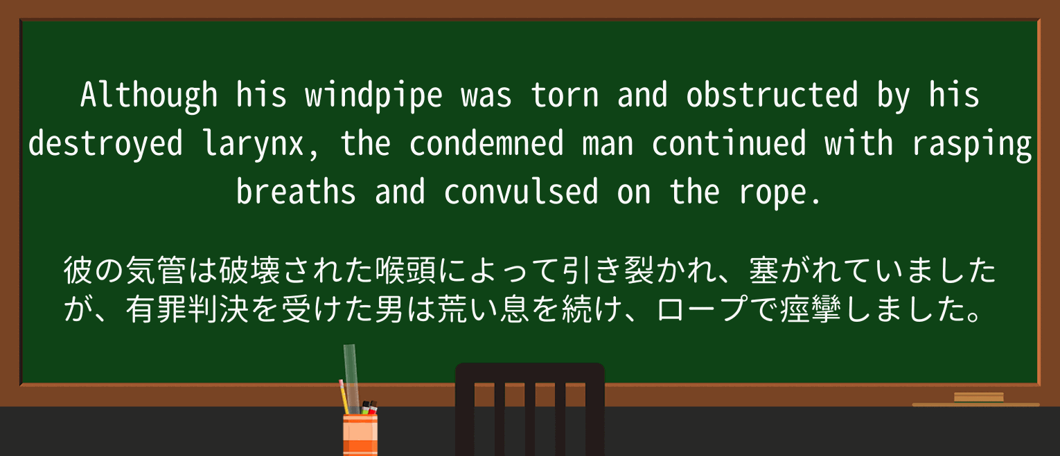 【英単語】windpipeを徹底解説!意味、使い方、例文、読み方 ・例文1