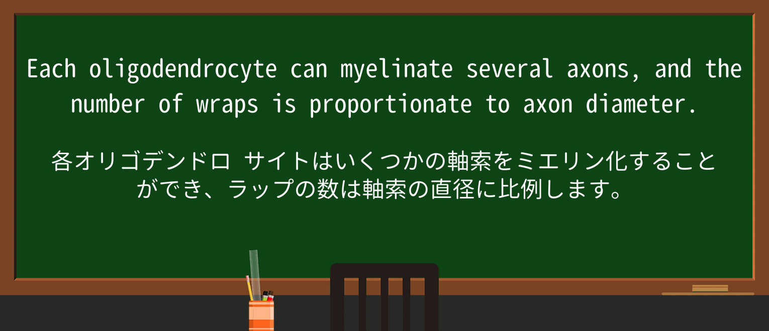 【英単語】wrapを徹底解説!意味、使い方、例文、読み方 ・例文3