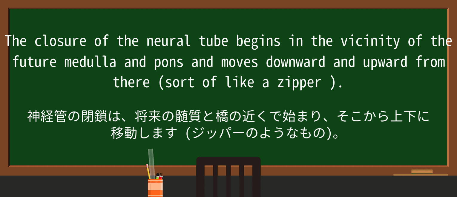 【英単語】zipperを徹底解説!意味、使い方、例文、読み方 ・例文2