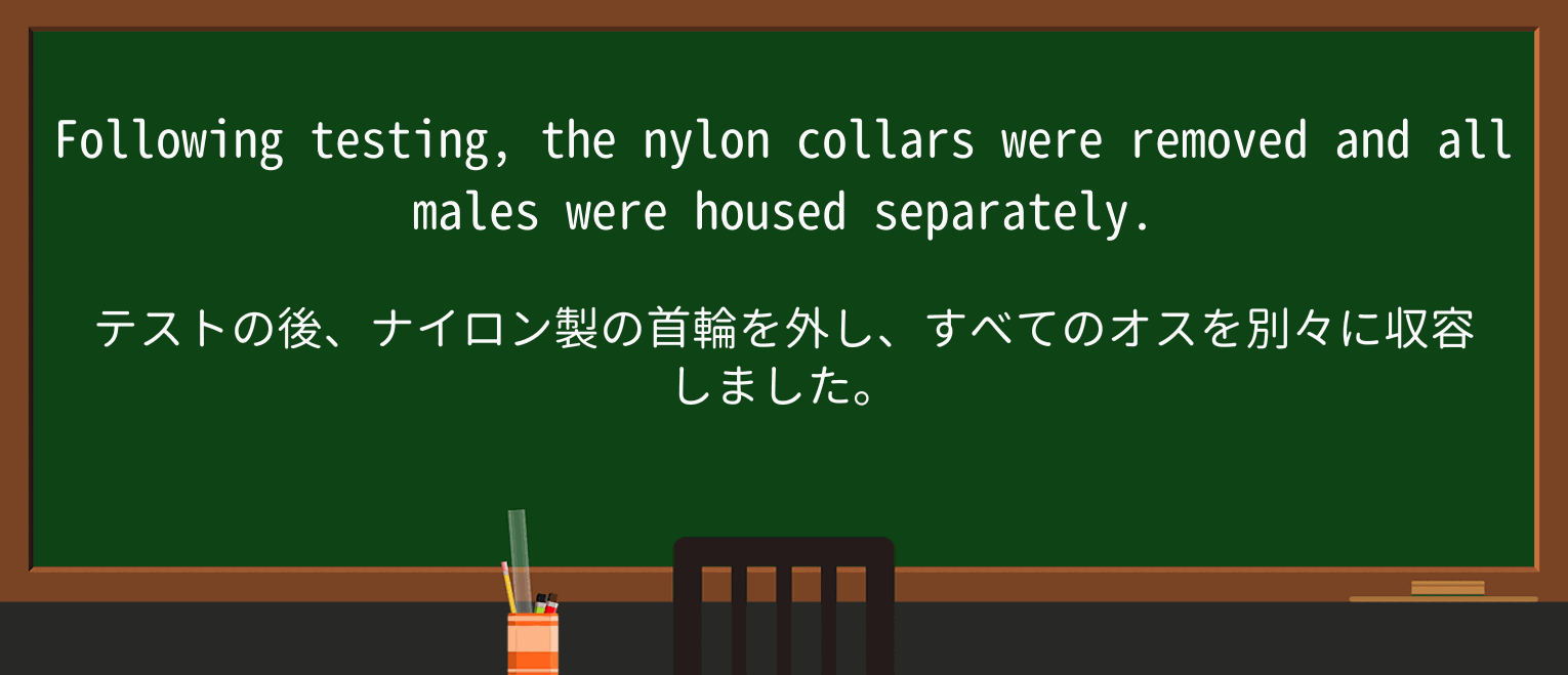 【英単語】collarを徹底解説!意味、使い方、例文、読み方 ・例文1