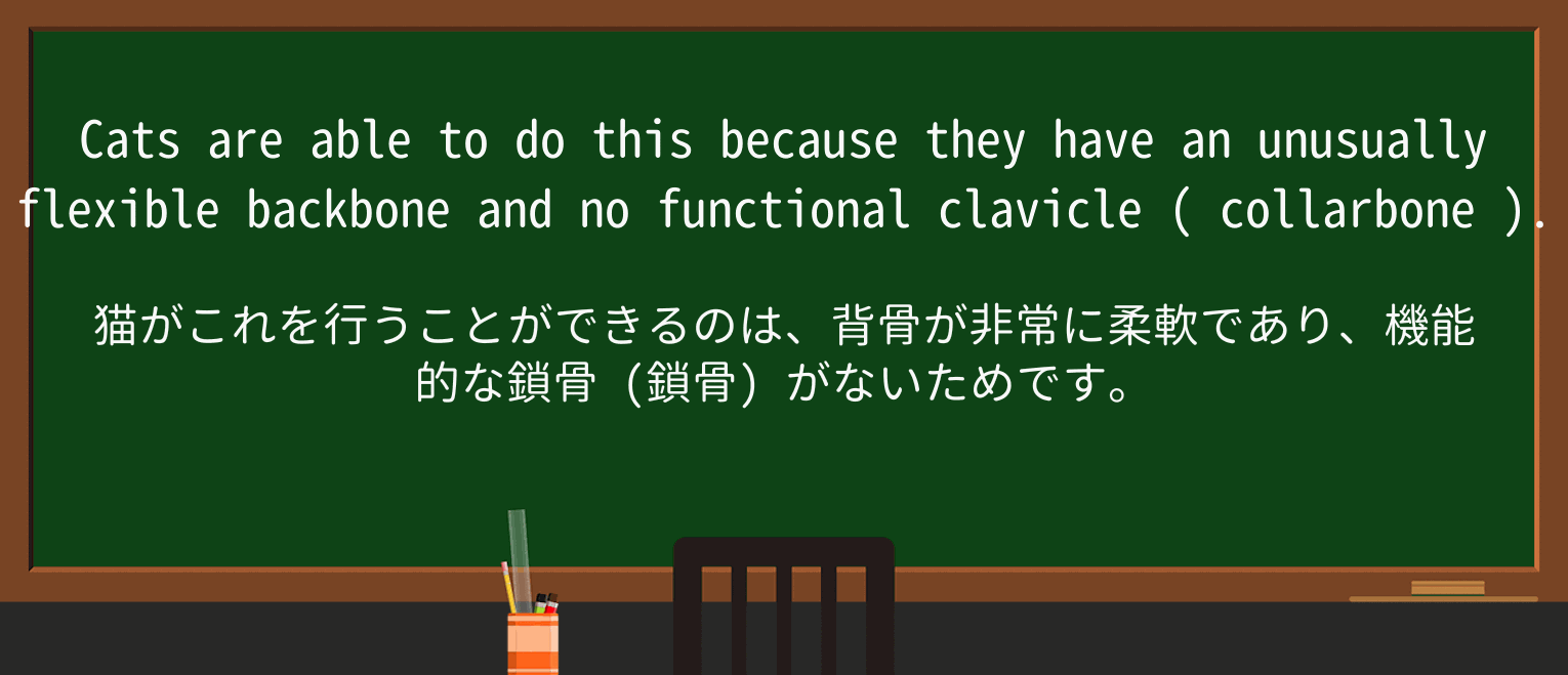 【英単語】collarboneを徹底解説!意味、使い方、例文、読み方 ・例文2