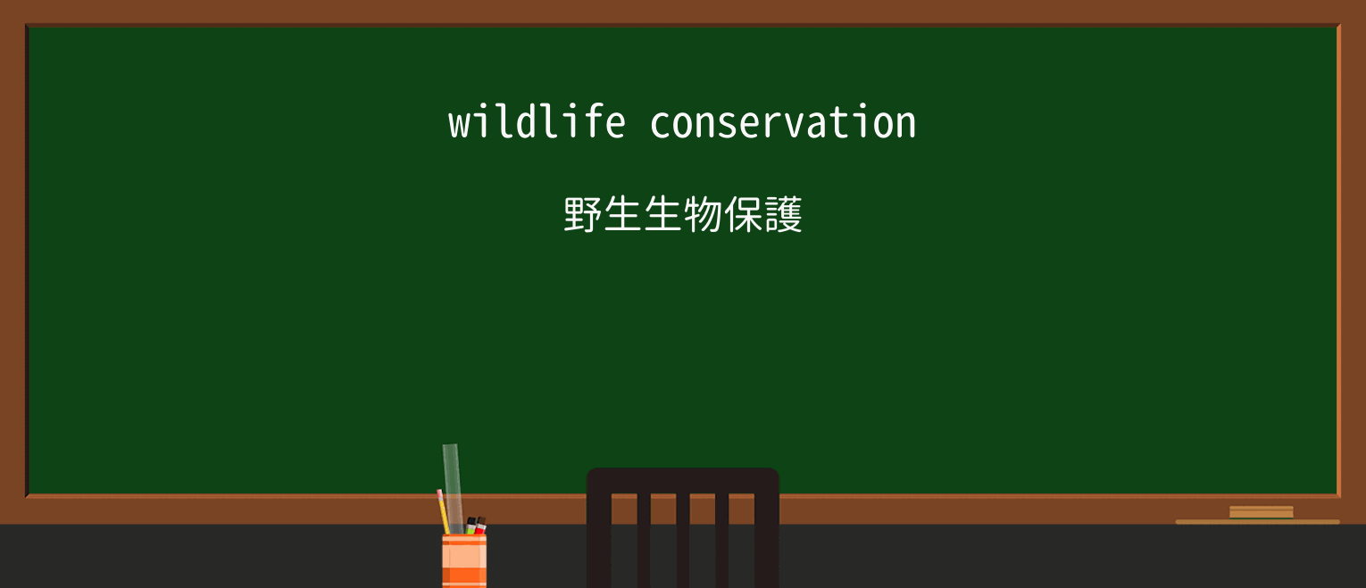 【英単語】conservationを徹底解説!意味、使い方、例文、読み方 ・例文1