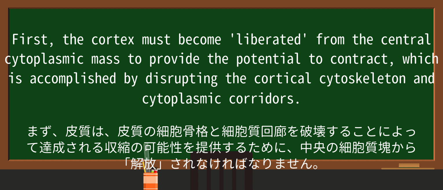 【英単語】corridorを徹底解説!意味、使い方、例文、読み方 ・例文1