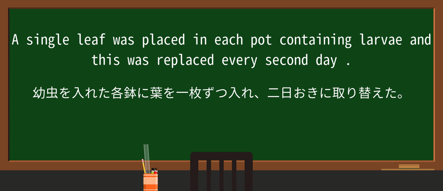 【英単語】dayを徹底解説!意味、使い方、例文、読み方 ・例文4