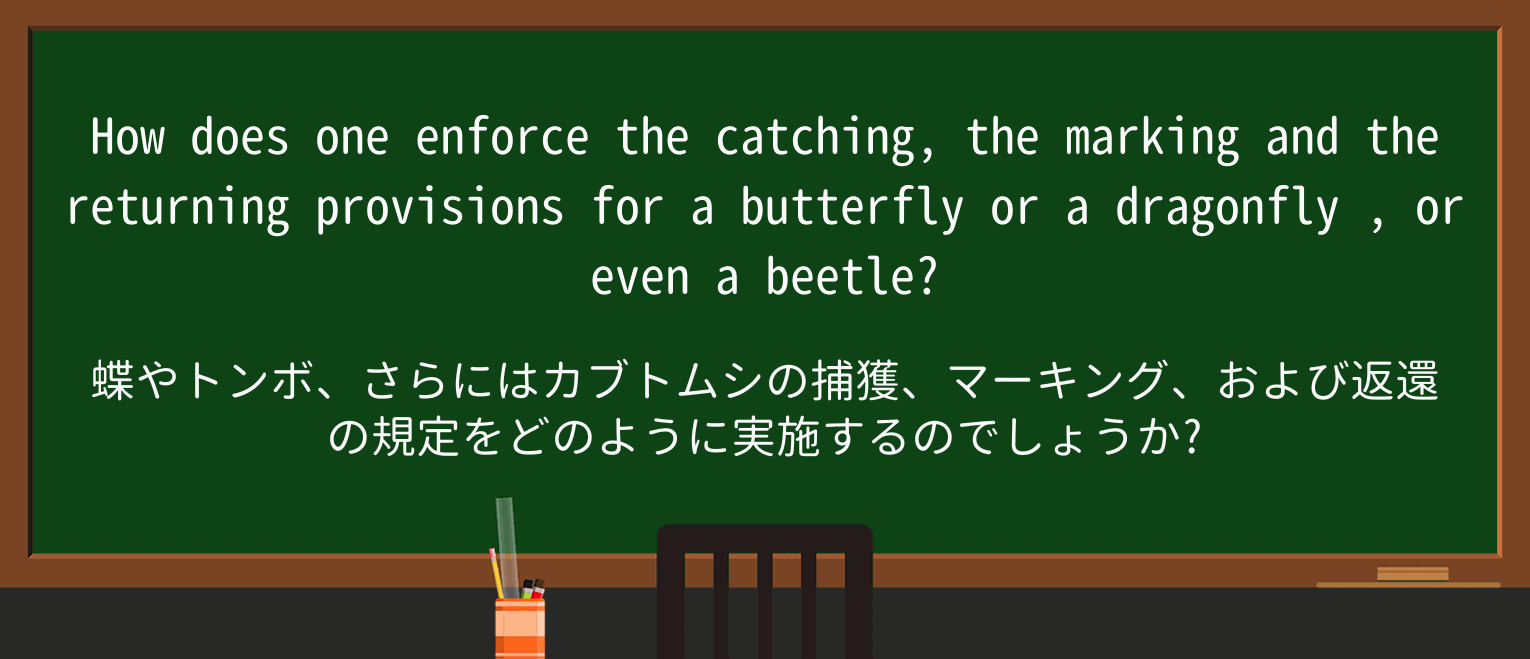 【英単語】dragonflyを徹底解説!意味、使い方、例文、読み方 ・例文1