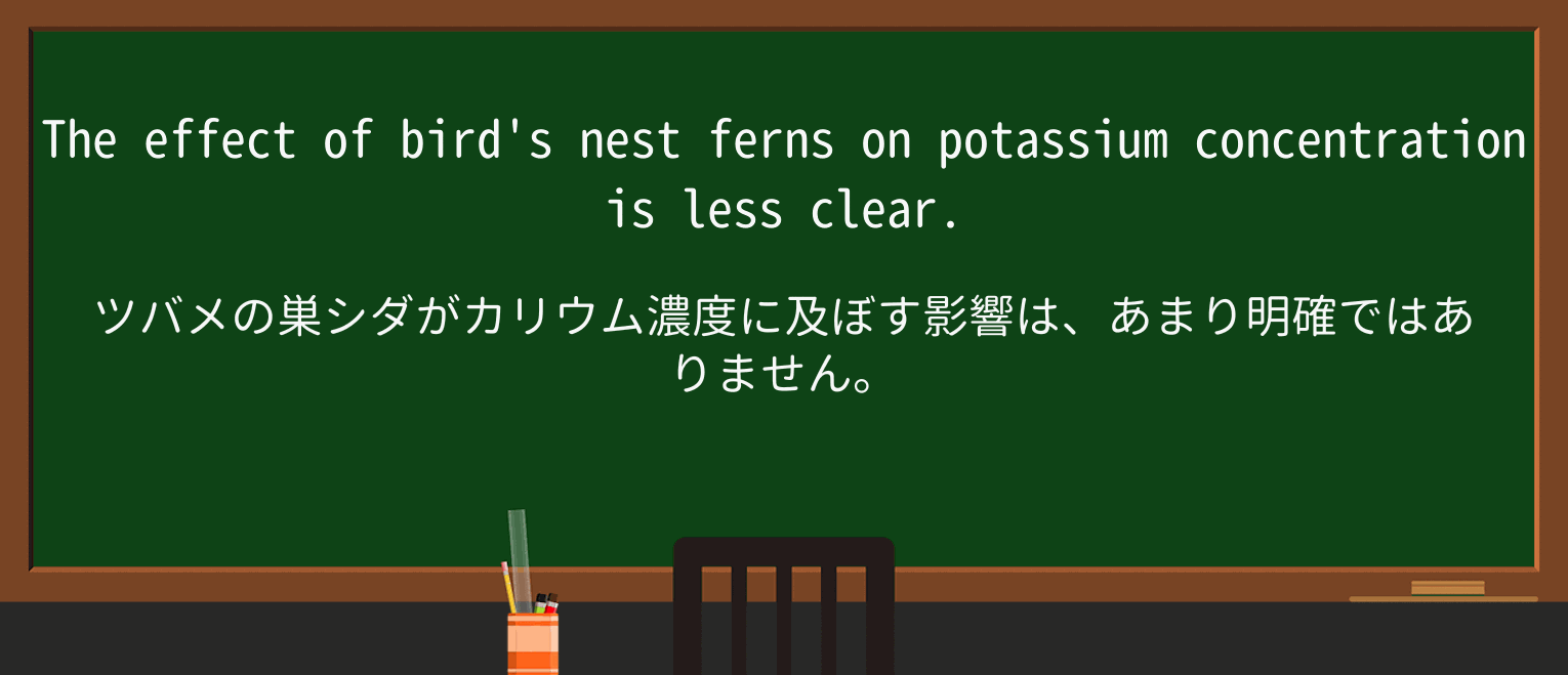 【英単語】fernを徹底解説!意味、使い方、例文、読み方 ・例文1