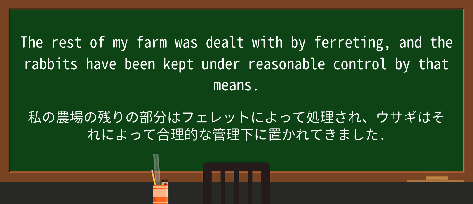 【英単語】ferretを徹底解説!意味、使い方、例文、読み方 ・例文2