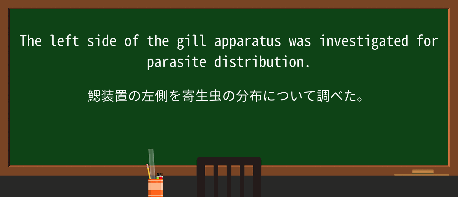 【英単語】gillを徹底解説!意味、使い方、例文、読み方 ・例文2