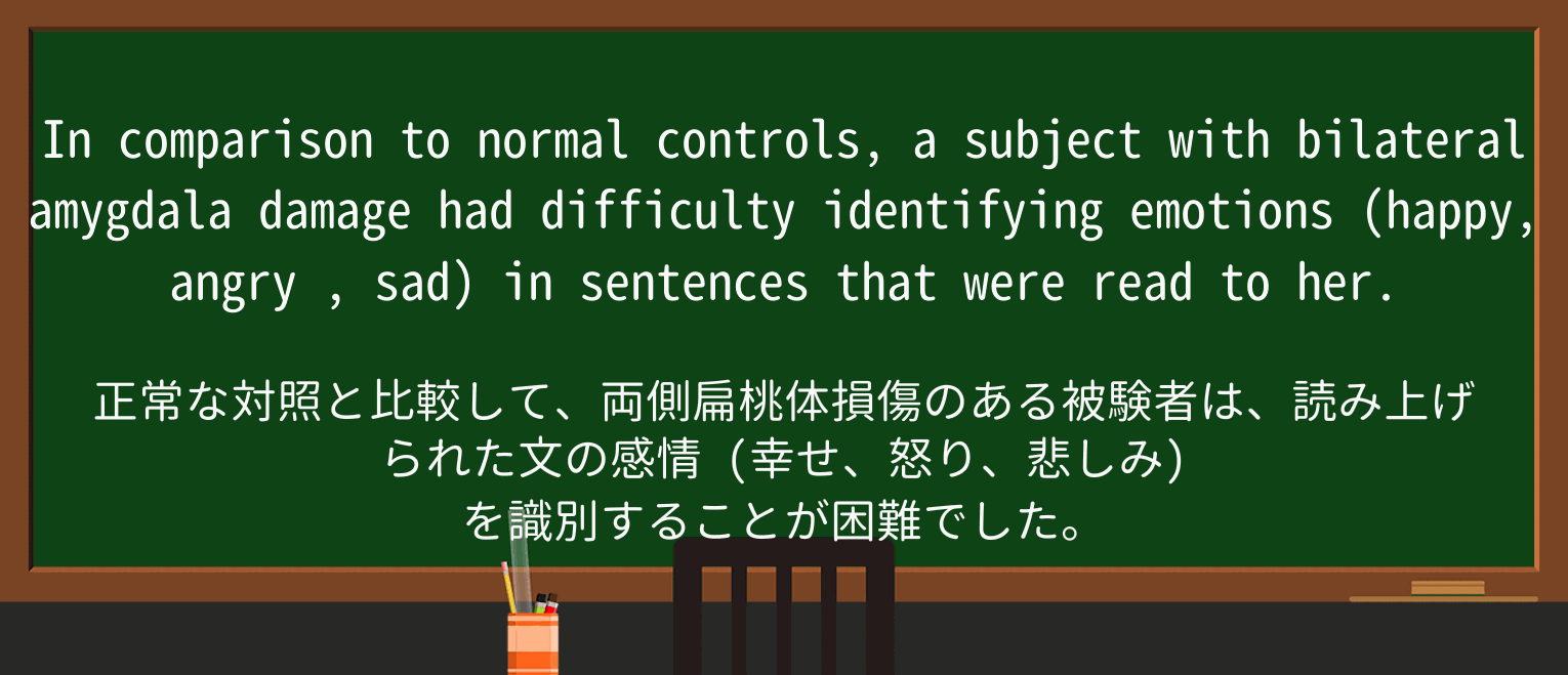 【英単語】angryを徹底解説!意味、使い方、例文、読み方 ・例文2