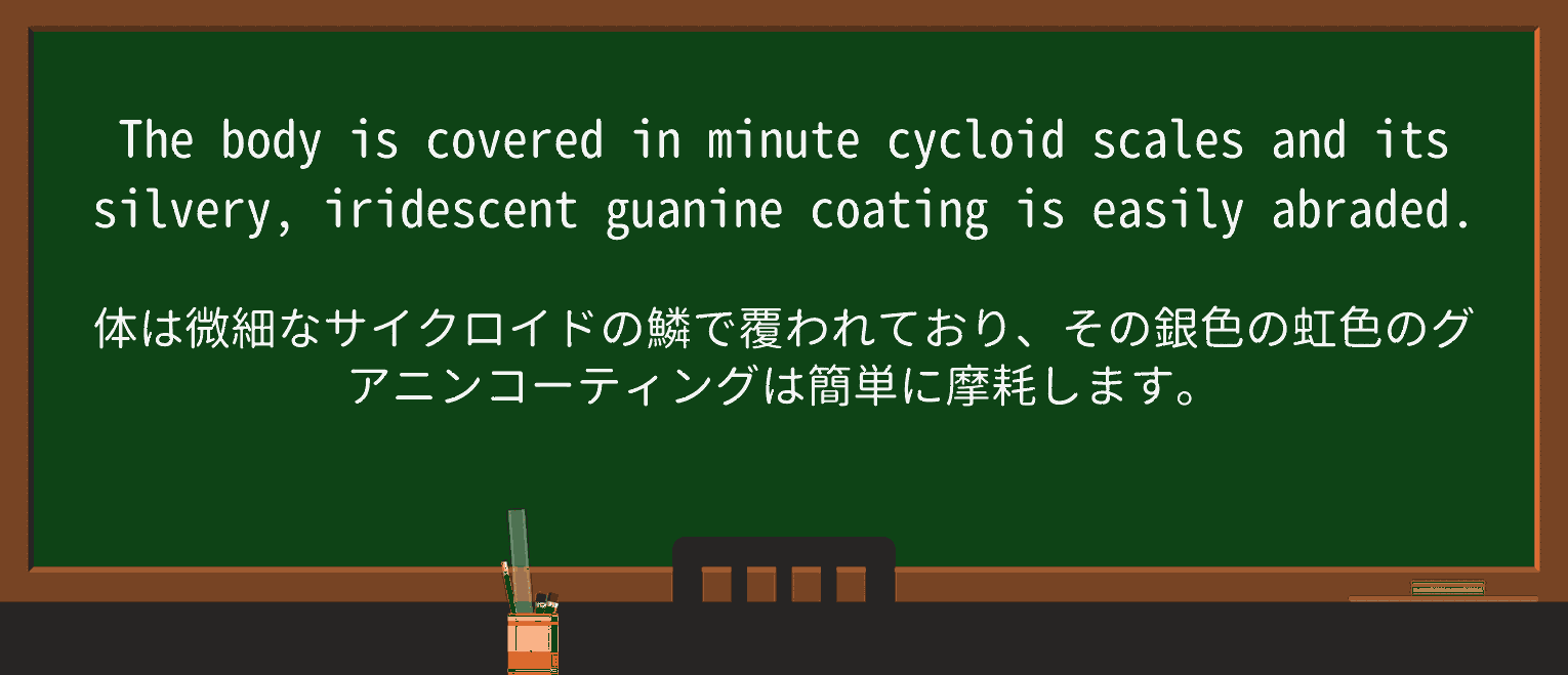 abradeを徹底解説!意味、使い方、例文、読み方 ・例文3