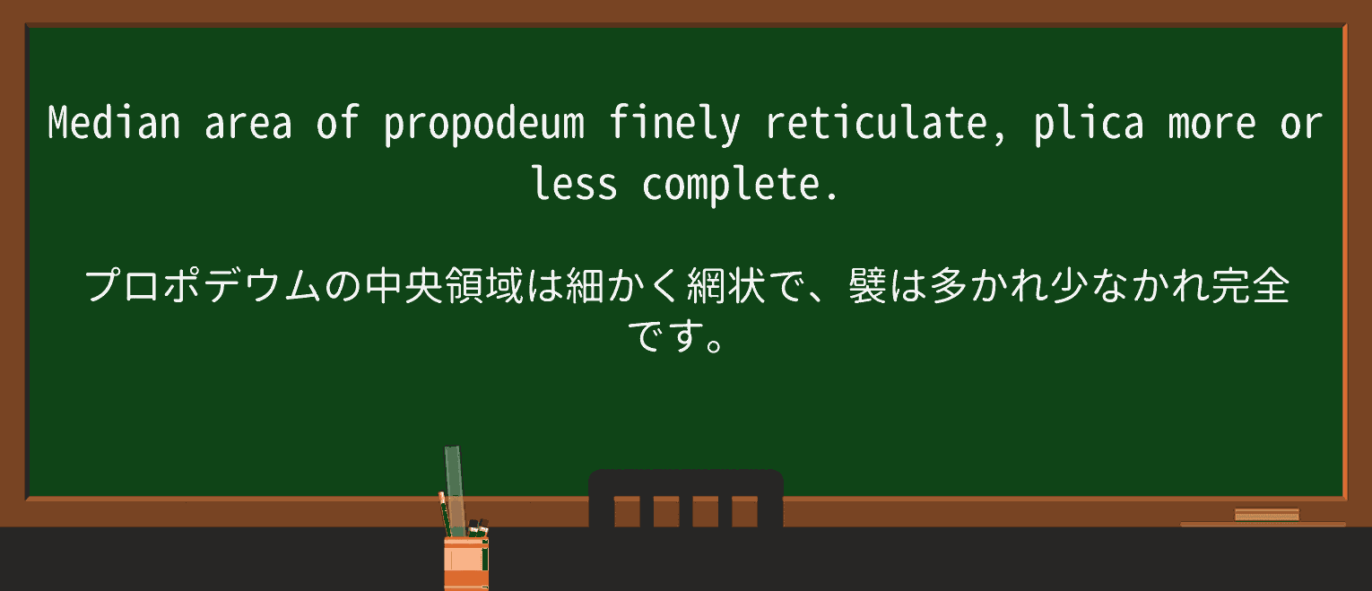 【英単語】plicaを徹底解説!意味、使い方、例文、読み方 ・例文2