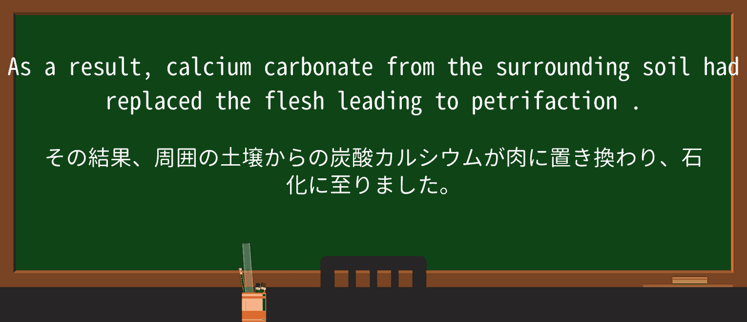 【英単語】petrifactionを徹底解説!意味、使い方、例文、読み方 ・例文4