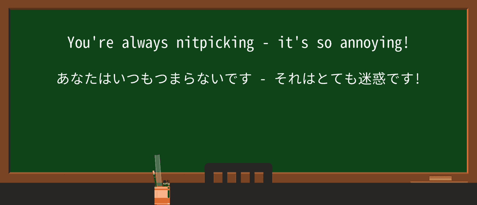 【英単語】nitpickを徹底解説!意味、使い方、例文、読み方 ・例文1