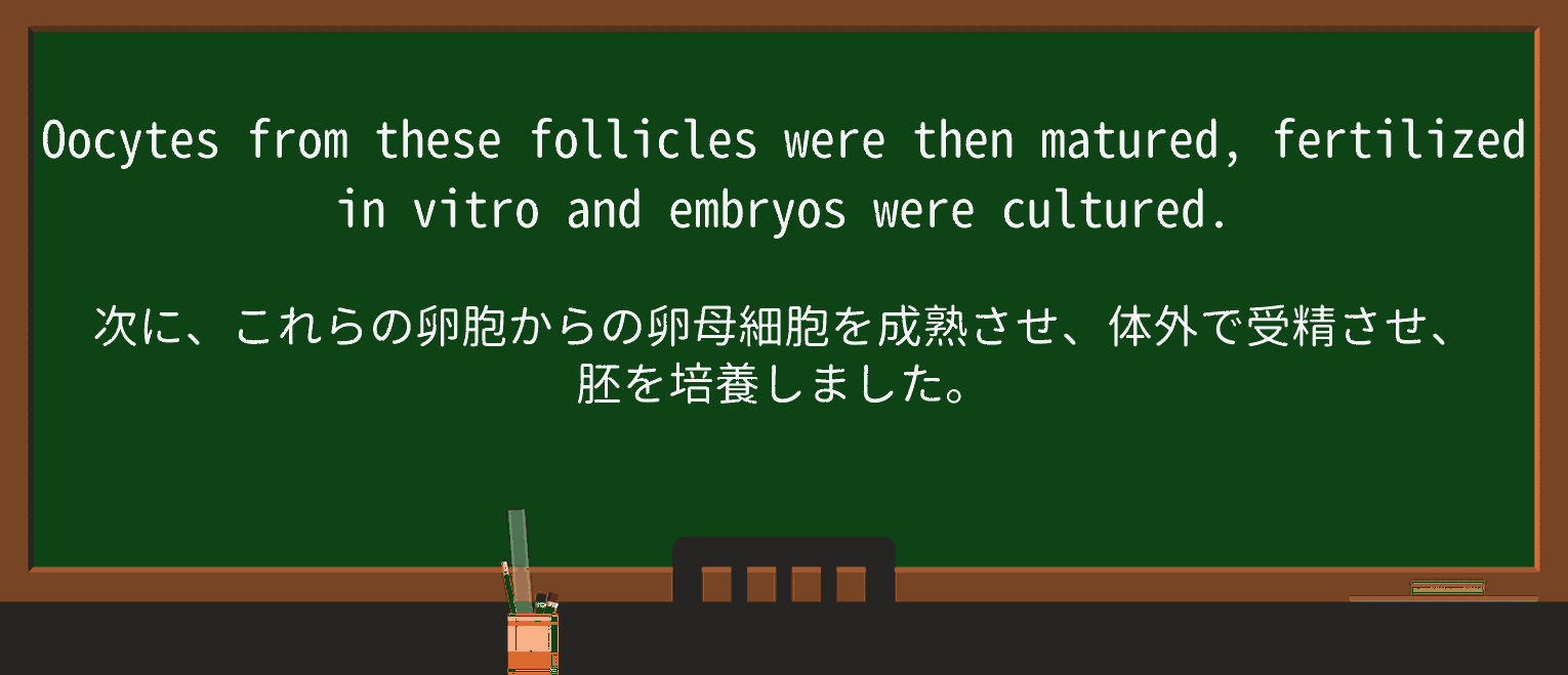 【英単語】fertilizeを徹底解説!意味、使い方、例文、読み方 ・例文4