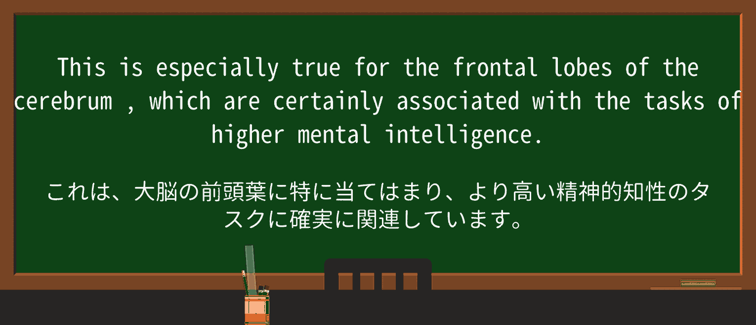 【英単語】cerebrumを徹底解説!意味、使い方、例文、読み方 ・例文1