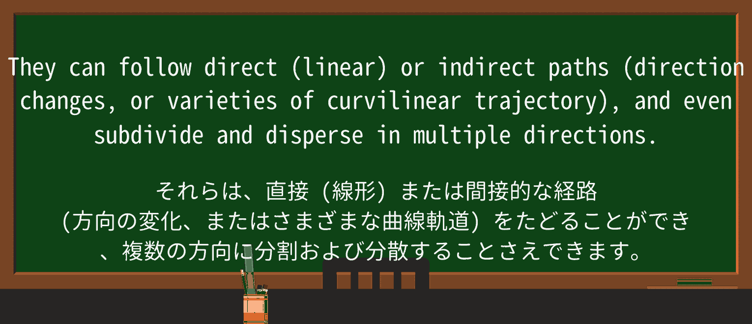 【英単語】curvilinearを徹底解説!意味、使い方、例文、読み方 ・例文3