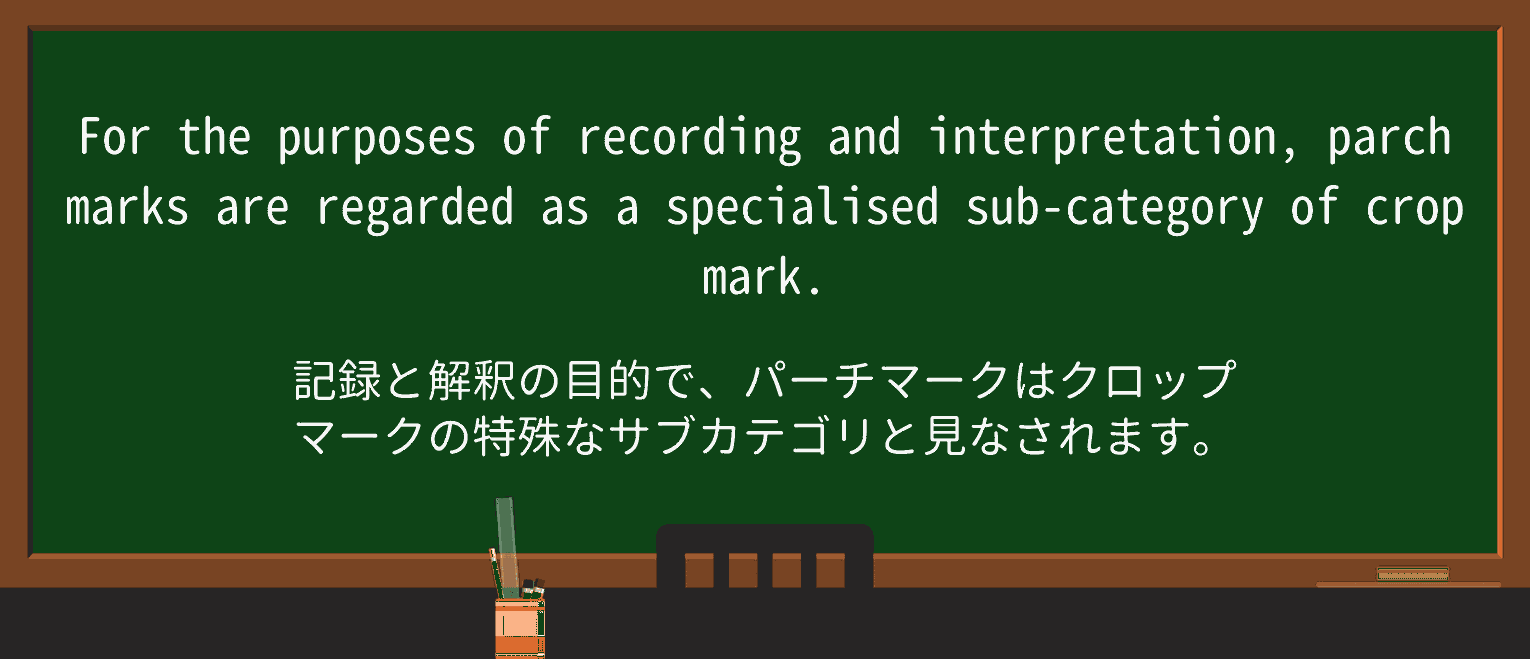 【英単語】parchを徹底解説!意味、使い方、例文、読み方 ・例文2