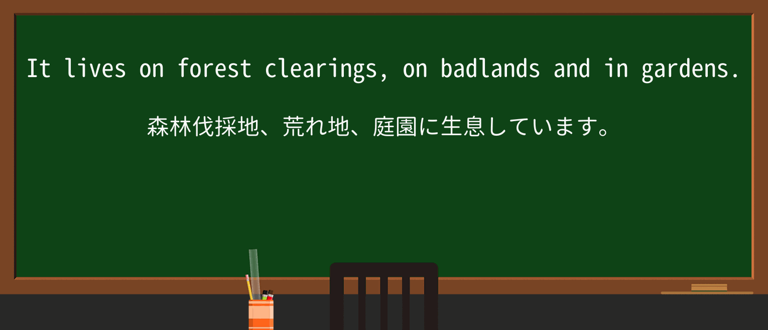 【英単語】badlandsを徹底解説!意味、使い方、例文、読み方 ・例文3